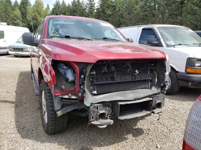 Photo 8 VIN: 1FTFX1EG9GFC07544 - FORD F150 SUPER 