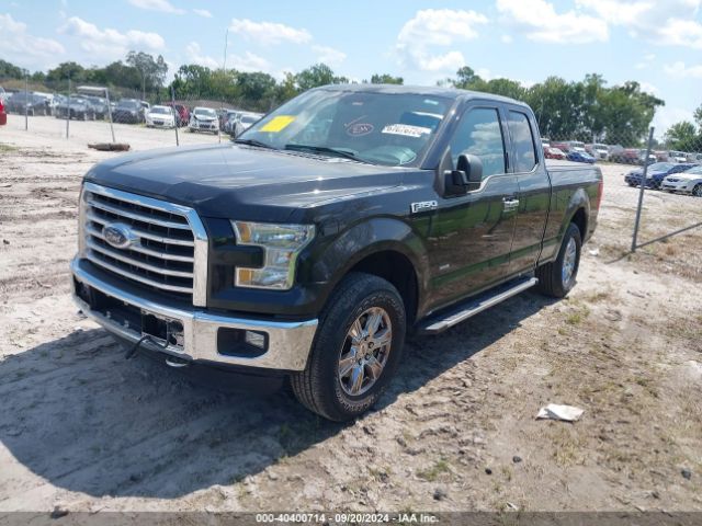 Photo 1 VIN: 1FTFX1EGXFFD13225 - FORD F-150 