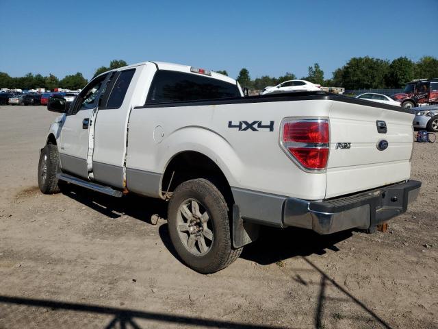 Photo 1 VIN: 1FTFX1ET0BFD18568 - FORD F150 SUPER 