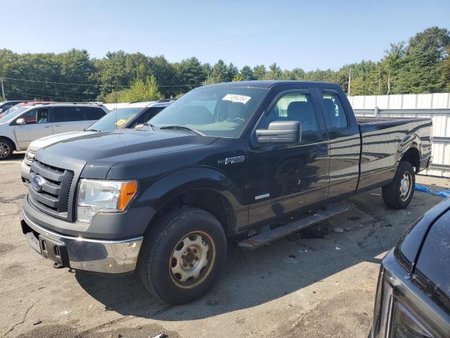 Photo 0 VIN: 1FTFX1ET0CKD67181 - FORD F-150 