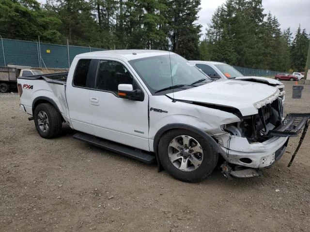 Photo 3 VIN: 1FTFX1ET0EFB11571 - FORD F150 SUPER 