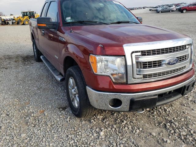 Photo 8 VIN: 1FTFX1ET0EKE35563 - FORD F150 SUPER 