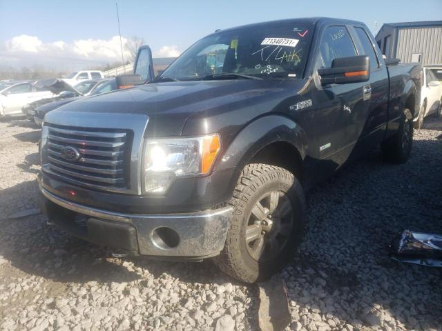 Photo 1 VIN: 1FTFX1ET1CFA91800 - FORD F150 SUPER 