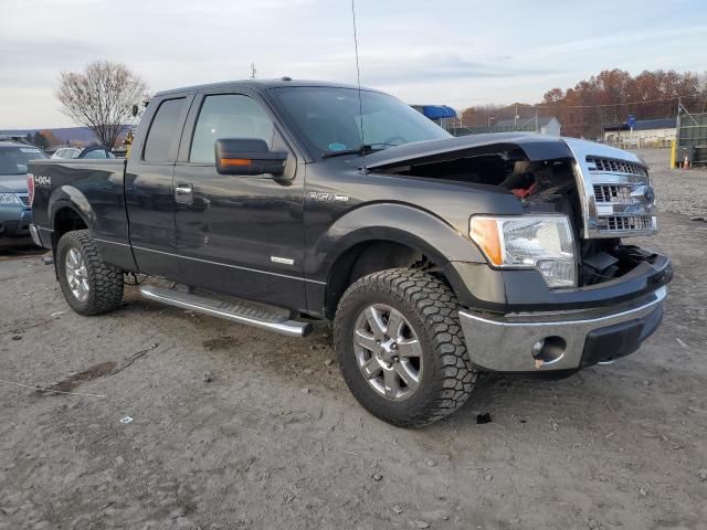 Photo 3 VIN: 1FTFX1ET1DFB14090 - FORD F150 SUPER 