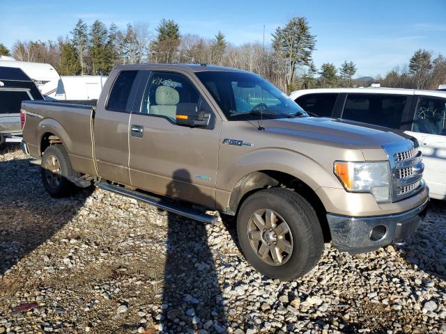 Photo 3 VIN: 1FTFX1ET1EFC23585 - FORD F150 SUPER 