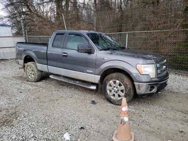 Photo 3 VIN: 1FTFX1ET2DFA13575 - FORD F150 SUPER 