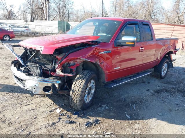 Photo 1 VIN: 1FTFX1ET3BFB41191 - FORD F-150 