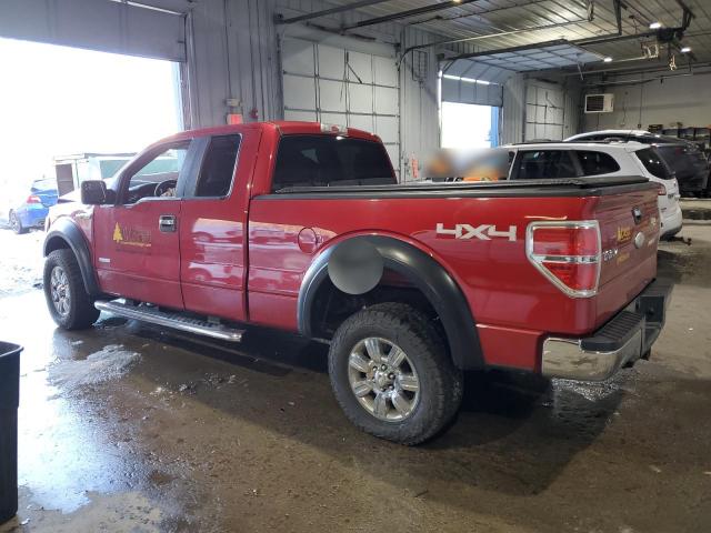 Photo 1 VIN: 1FTFX1ET5CFA00902 - FORD F150 SUPER 