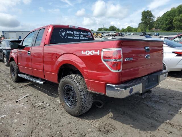 Photo 1 VIN: 1FTFX1ET5CFA03184 - FORD F150 SUPER 