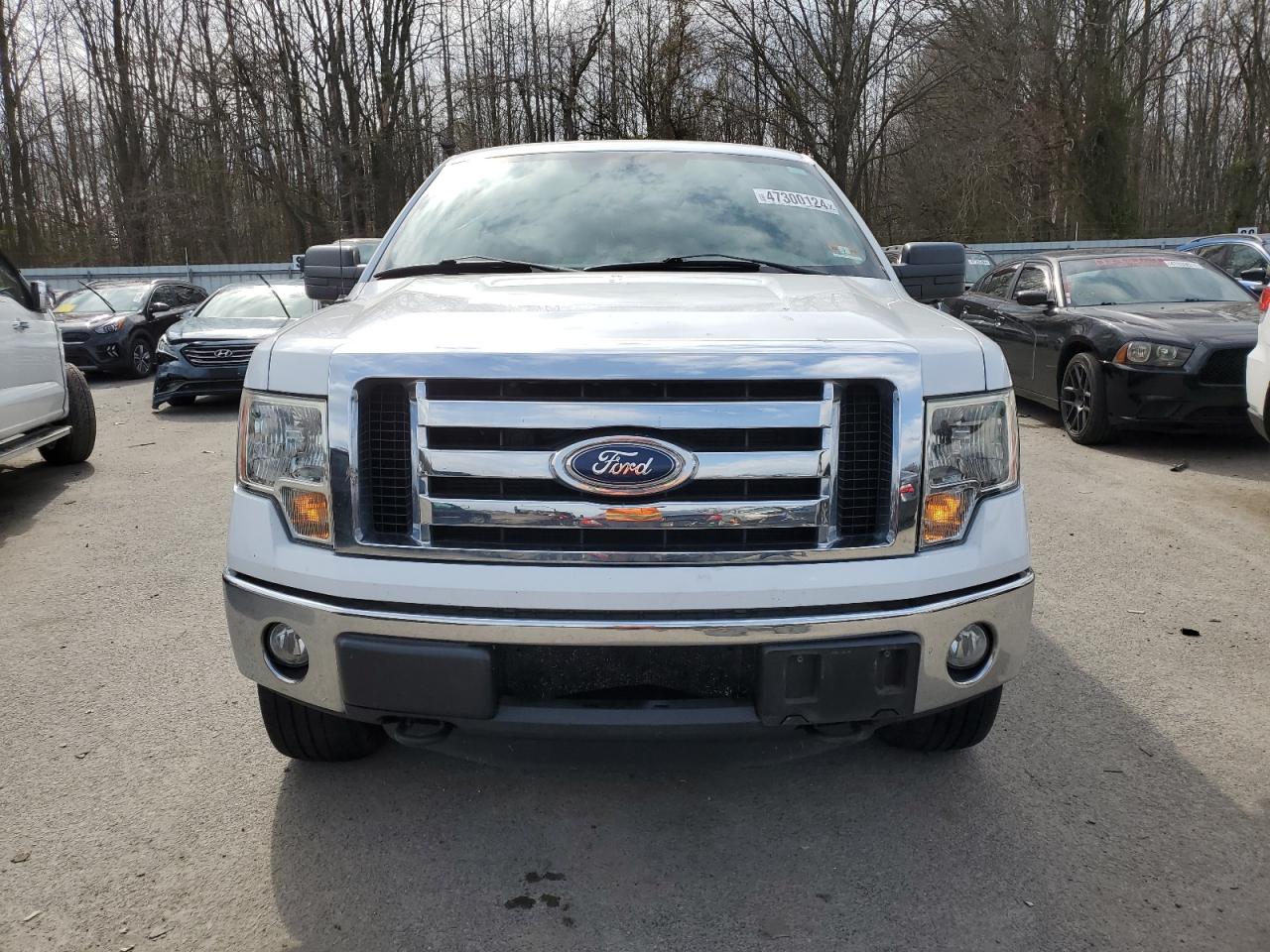 Photo 4 VIN: 1FTFX1ET6BFC24856 - FORD F-150 