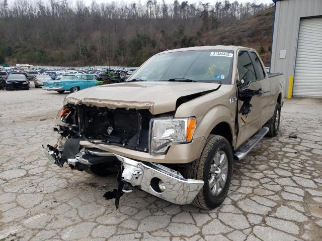 Photo 1 VIN: 1FTFX1ET6DFA03390 - FORD F150 4WD 