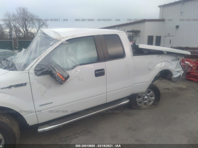 Photo 5 VIN: 1FTFX1ET7DFC17949 - FORD F-150 