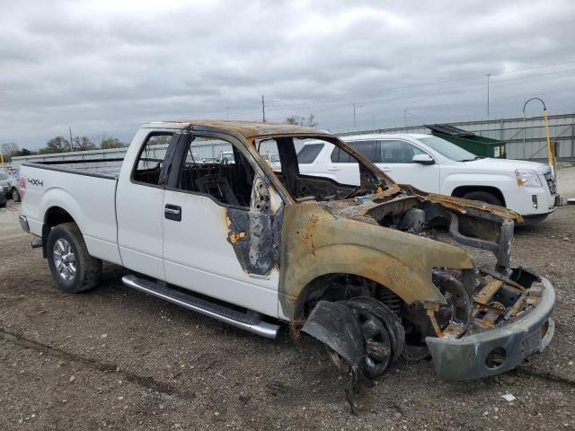 Photo 3 VIN: 1FTFX1ET7EFA62613 - FORD F-150 