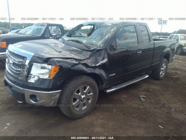 Photo 1 VIN: 1FTFX1ET8DFD80660 - FORD F-150 