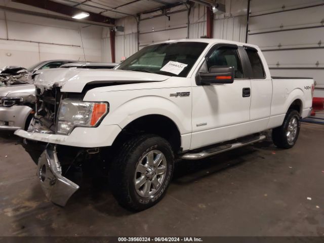 Photo 1 VIN: 1FTFX1ET9BFB59629 - FORD F-150 