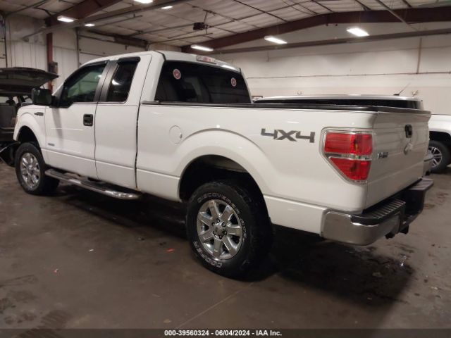 Photo 2 VIN: 1FTFX1ET9BFB59629 - FORD F-150 