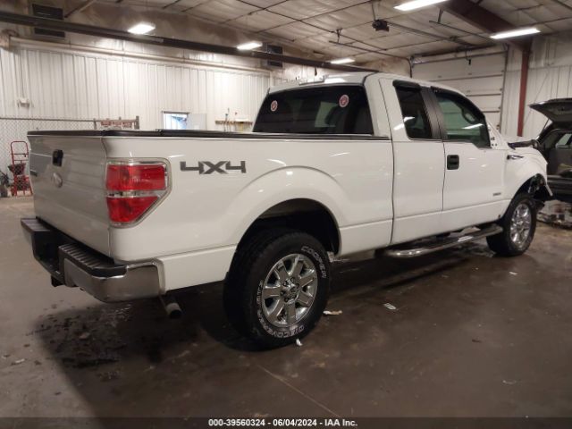 Photo 3 VIN: 1FTFX1ET9BFB59629 - FORD F-150 