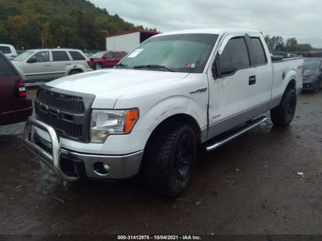 Photo 1 VIN: 1FTFX1ET9DKD52230 - FORD F-150 