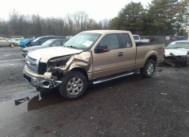 Photo 1 VIN: 1FTFX1ET9EFB36999 - FORD F-150 