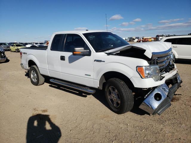 Photo 3 VIN: 1FTFX1ETXBFB08527 - FORD F150 SUPER 