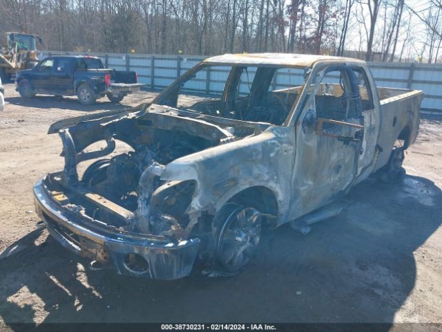 Photo 1 VIN: 1FTFX1ETXBFC03802 - FORD F-150 