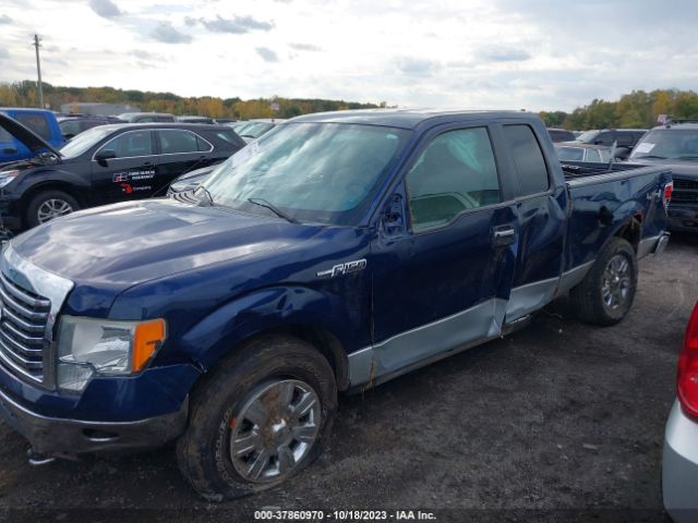 Photo 5 VIN: 1FTFX1EV1AFB29704 - FORD F-150 