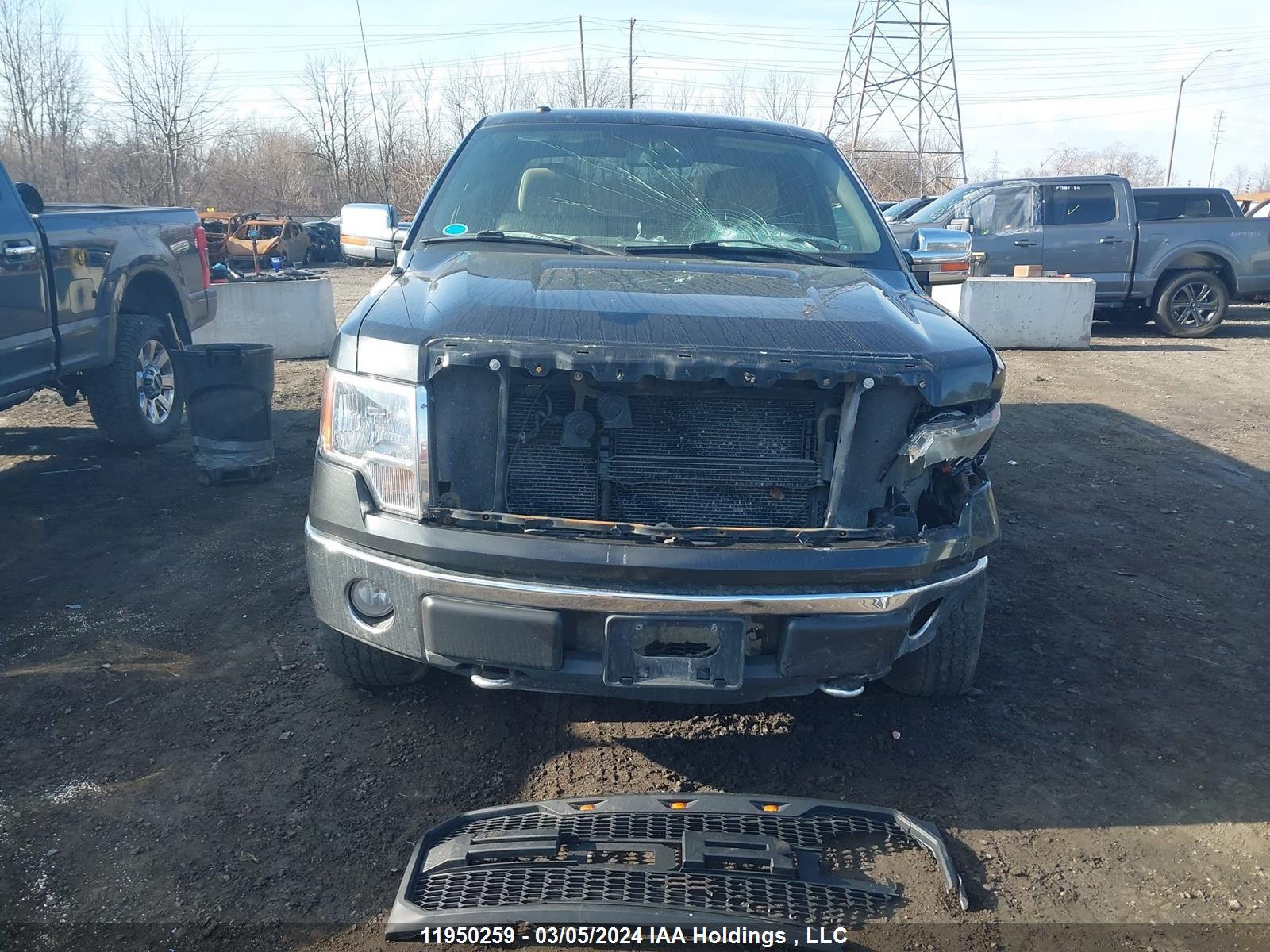 Photo 12 VIN: 1FTFX1EV5AFA80426 - FORD F-150 