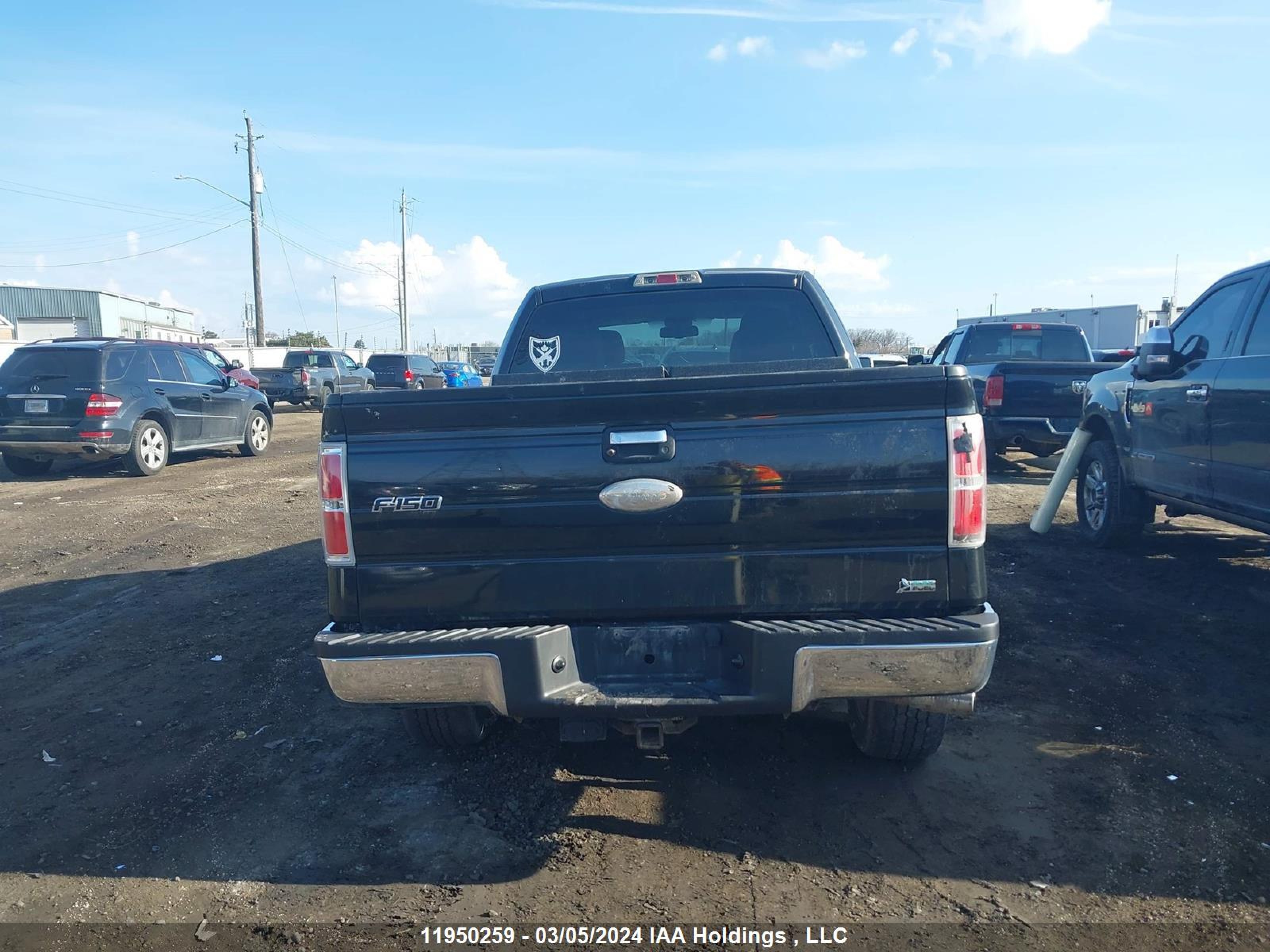 Photo 16 VIN: 1FTFX1EV5AFA80426 - FORD F-150 