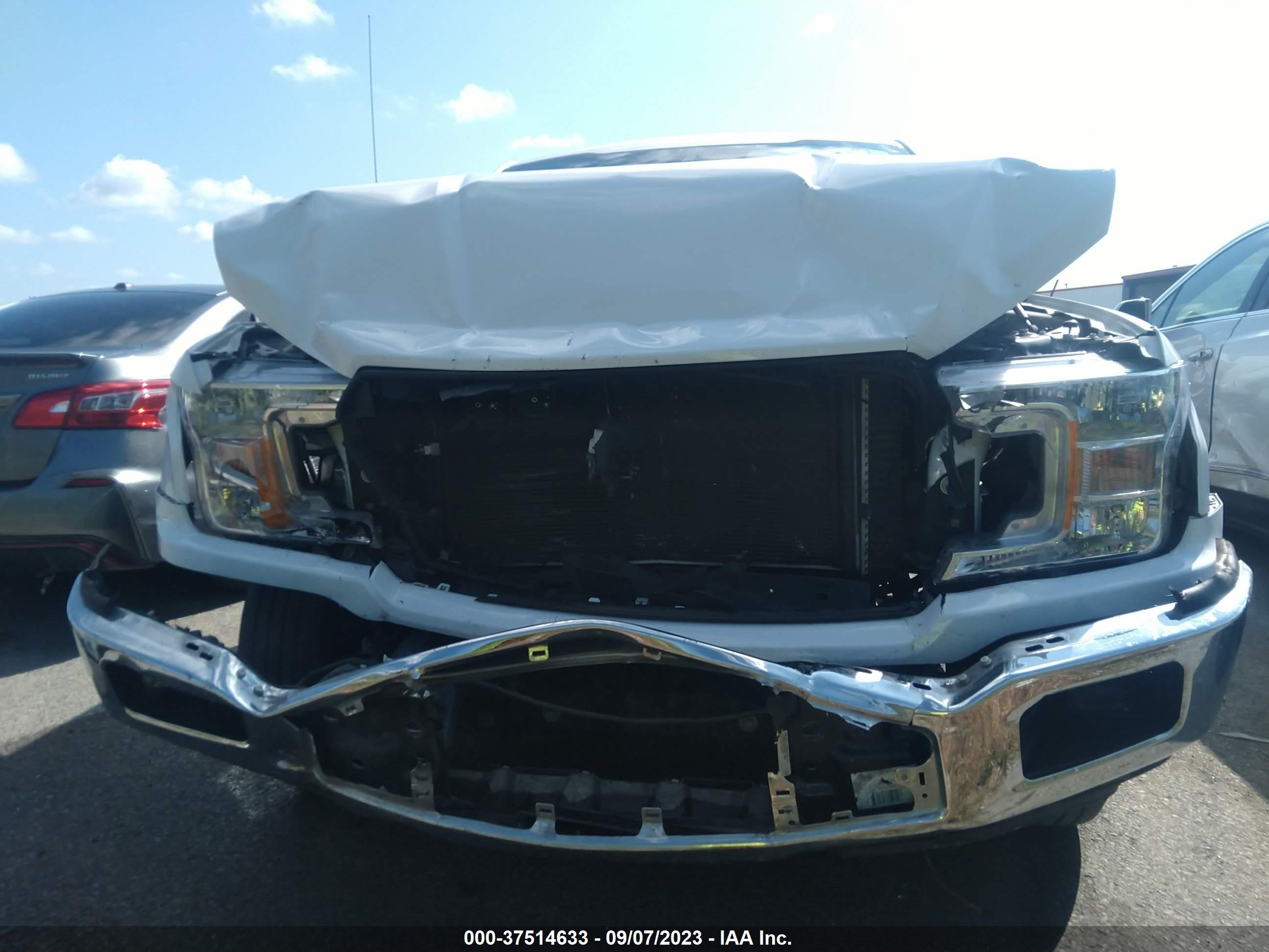 Photo 11 VIN: 1FTMF1C57KKD08318 - FORD F-150 