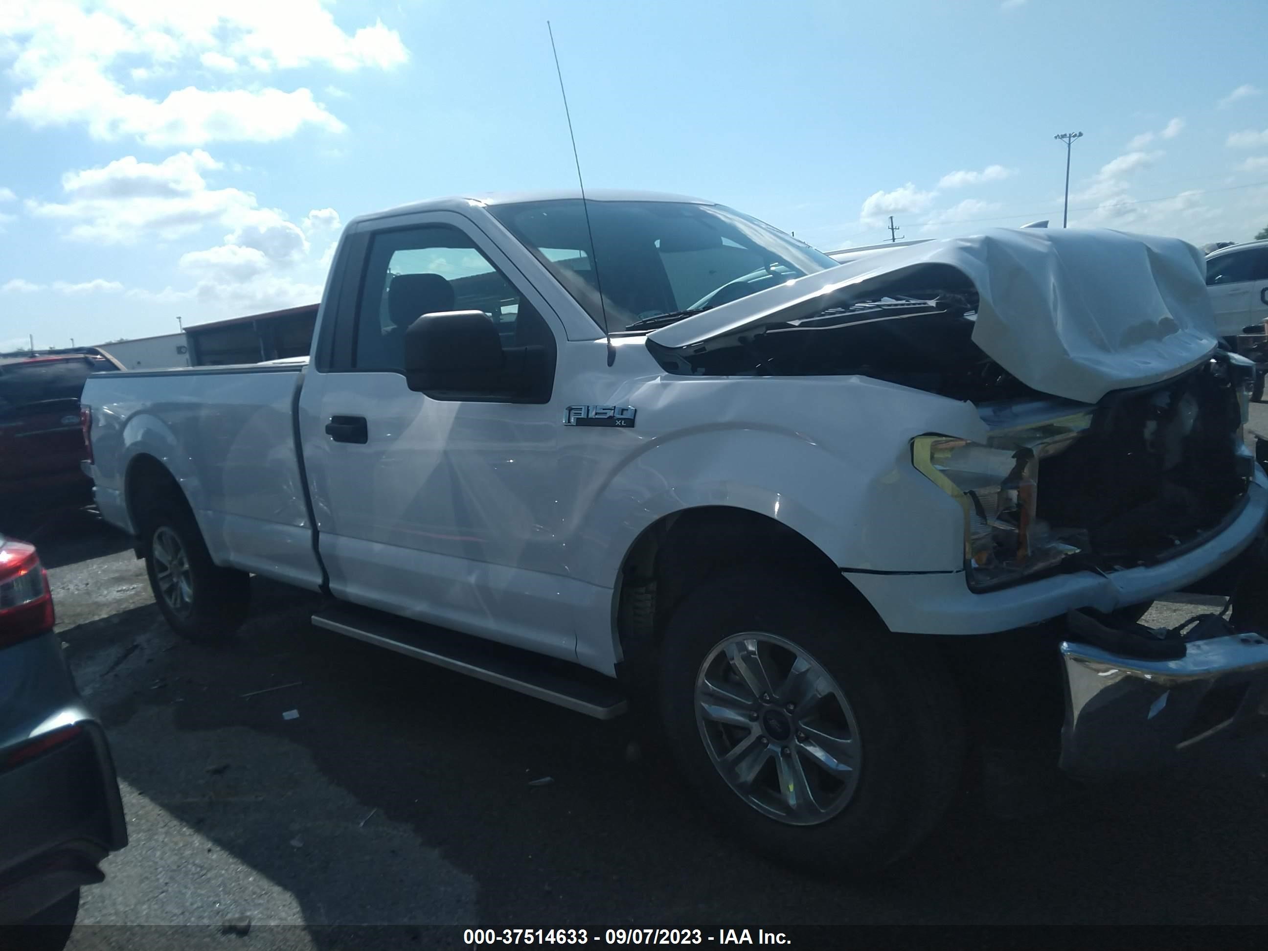 Photo 12 VIN: 1FTMF1C57KKD08318 - FORD F-150 