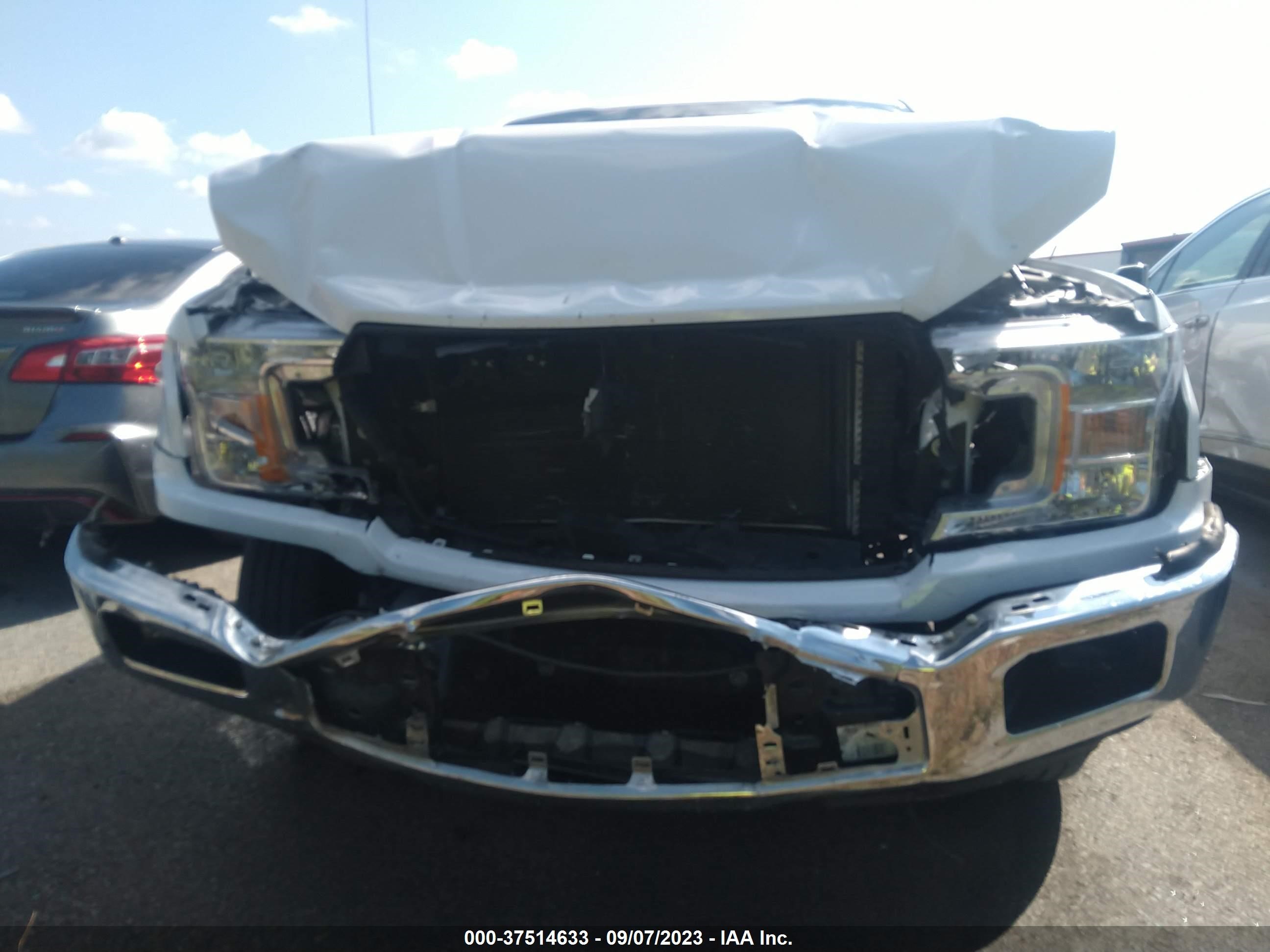 Photo 5 VIN: 1FTMF1C57KKD08318 - FORD F-150 