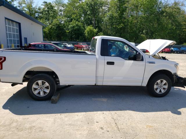 Photo 5 VIN: 1FTMF1C59KKD92044 - FORD F150 