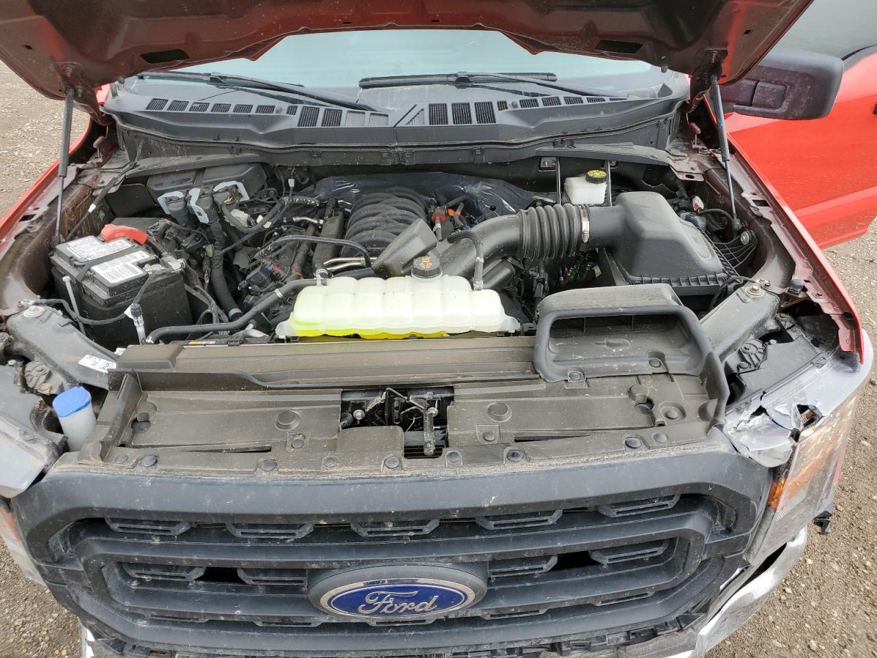 Photo 10 VIN: 1FTMF1C59PKF67075 - FORD F-150 