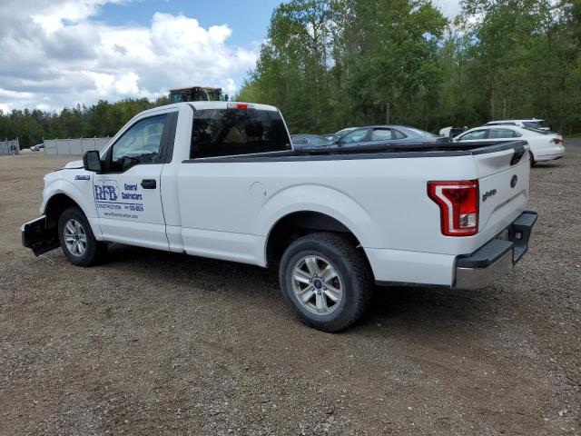 Photo 1 VIN: 1FTMF1C80HKD37016 - FORD F150 