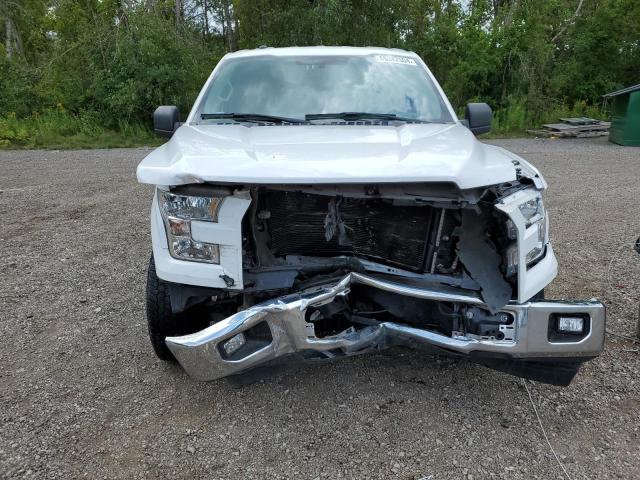 Photo 4 VIN: 1FTMF1C80HKD37016 - FORD F150 