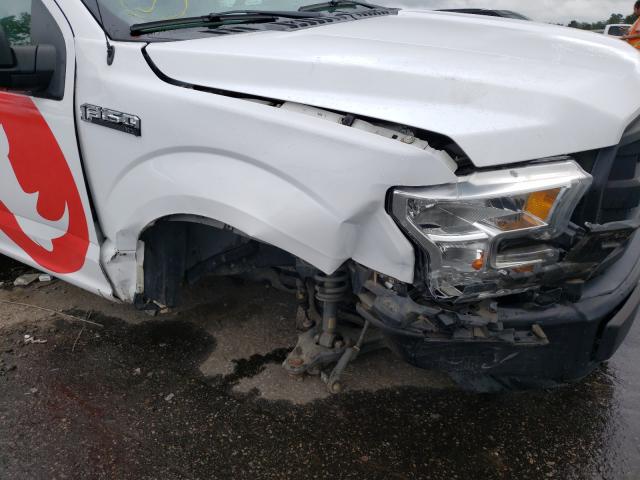 Photo 8 VIN: 1FTMF1C81HKC48541 - FORD F150 