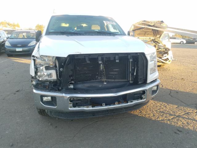 Photo 8 VIN: 1FTMF1C82GKD31846 - FORD F150 