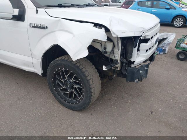 Photo 5 VIN: 1FTMF1C87HKD60700 - FORD F-150 