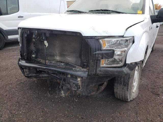 Photo 8 VIN: 1FTMF1C89GKD98105 - FORD F150 