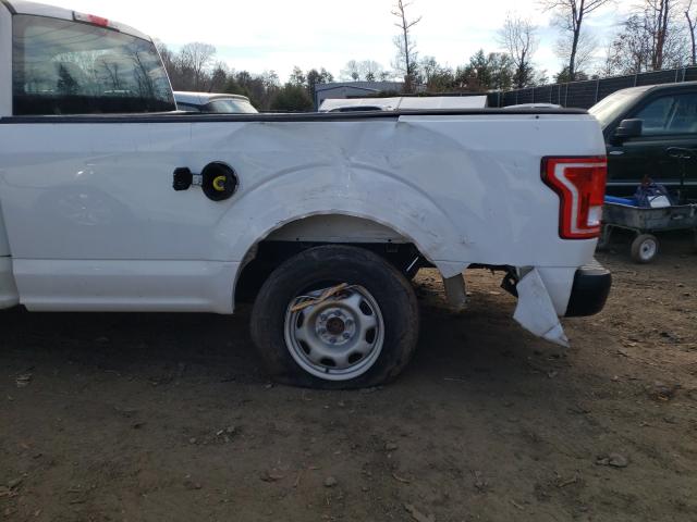 Photo 8 VIN: 1FTMF1C8XHKD91875 - FORD F150 