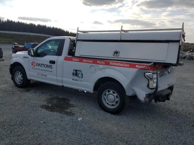 Photo 1 VIN: 1FTMF1CB1LKF50528 - FORD F150 