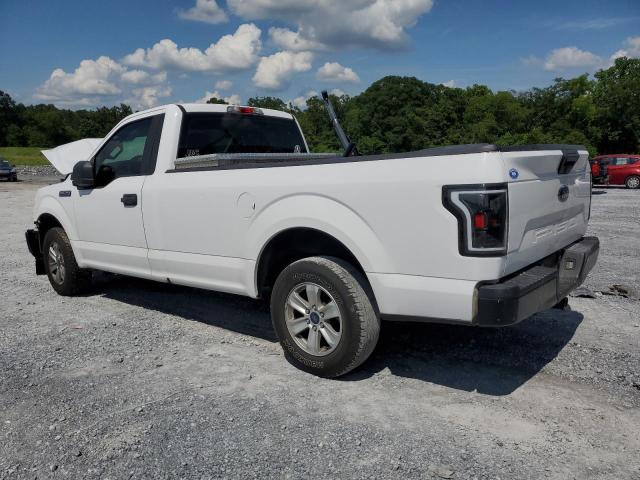 Photo 1 VIN: 1FTMF1CB5JKC37799 - FORD F150 