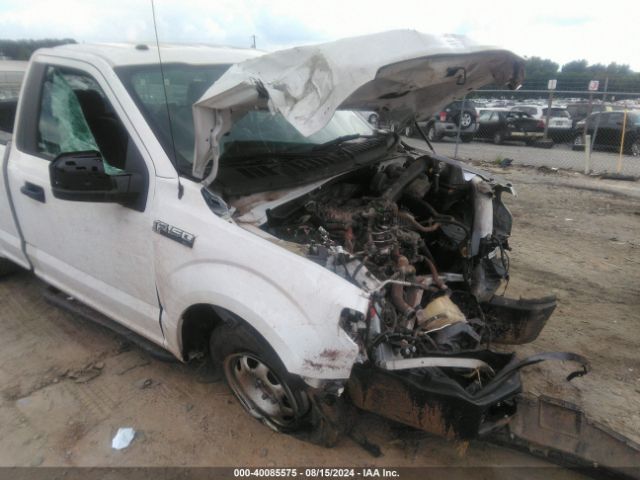 Photo 5 VIN: 1FTMF1CB5KKD79393 - FORD F-150 