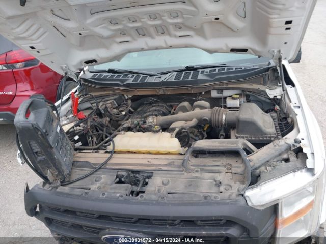 Photo 9 VIN: 1FTMF1CB5MKE08071 - FORD F-150 