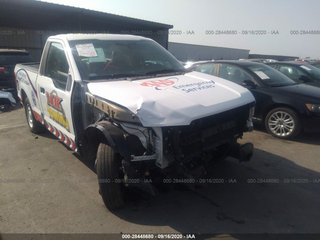 Photo 5 VIN: 1FTMF1CB7KKD33824 - FORD F-150 