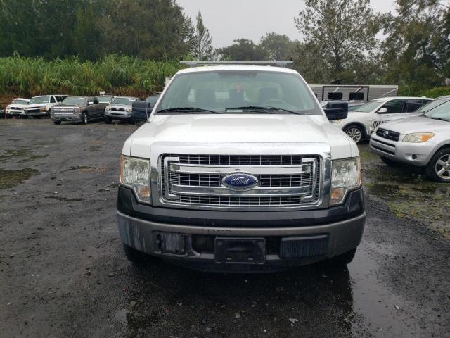 Photo 4 VIN: 1FTMF1CM1DKE29405 - FORD F150 