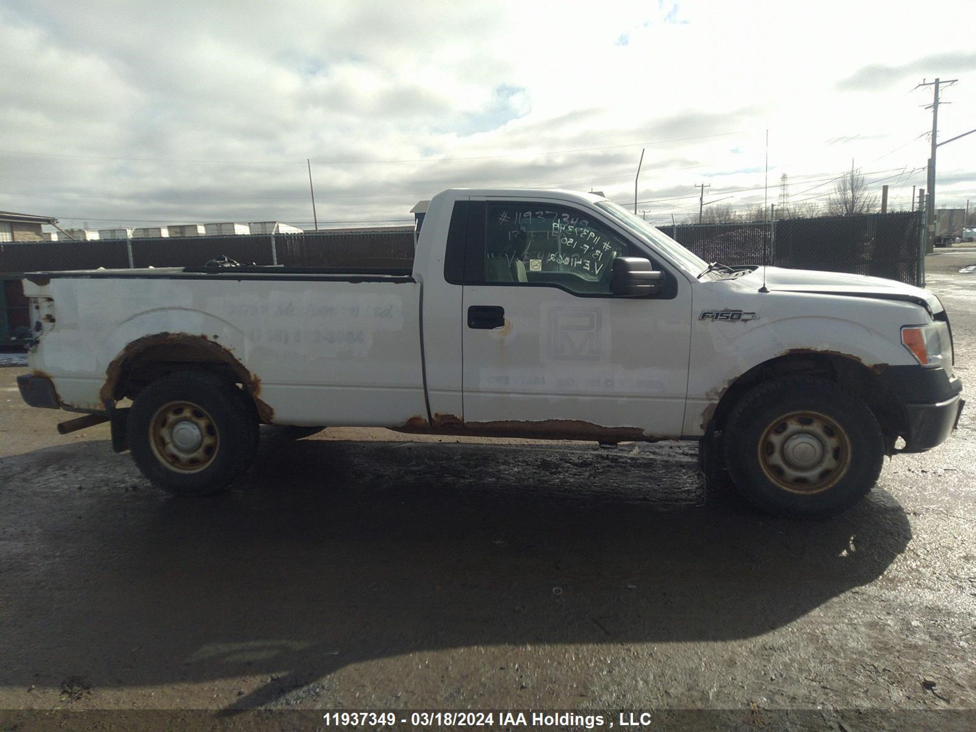 Photo 13 VIN: 1FTMF1CM4DKE41662 - FORD F-150 