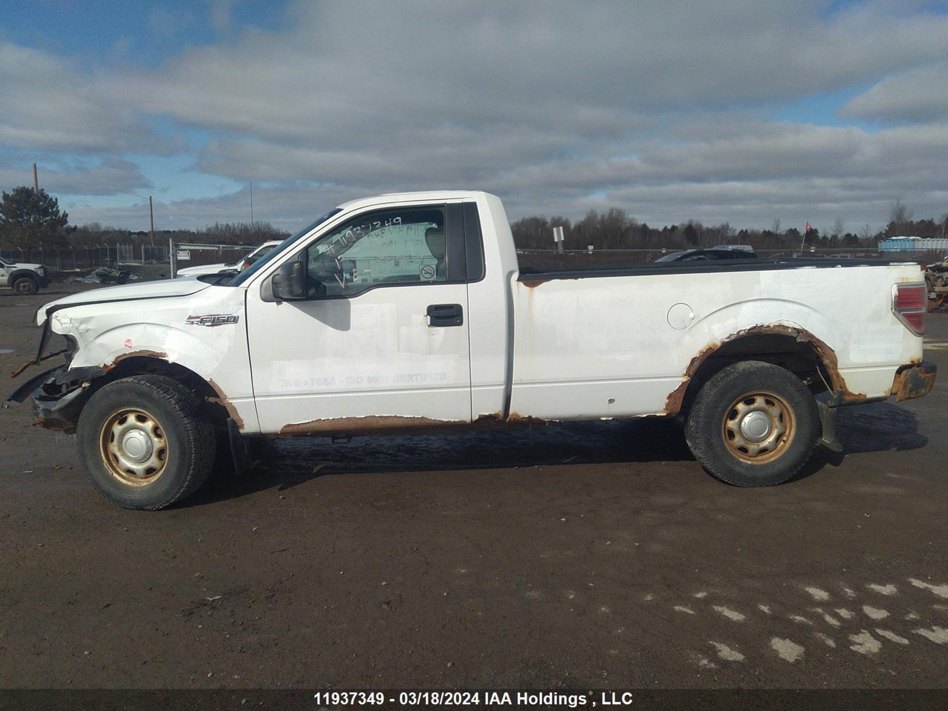 Photo 14 VIN: 1FTMF1CM4DKE41662 - FORD F-150 