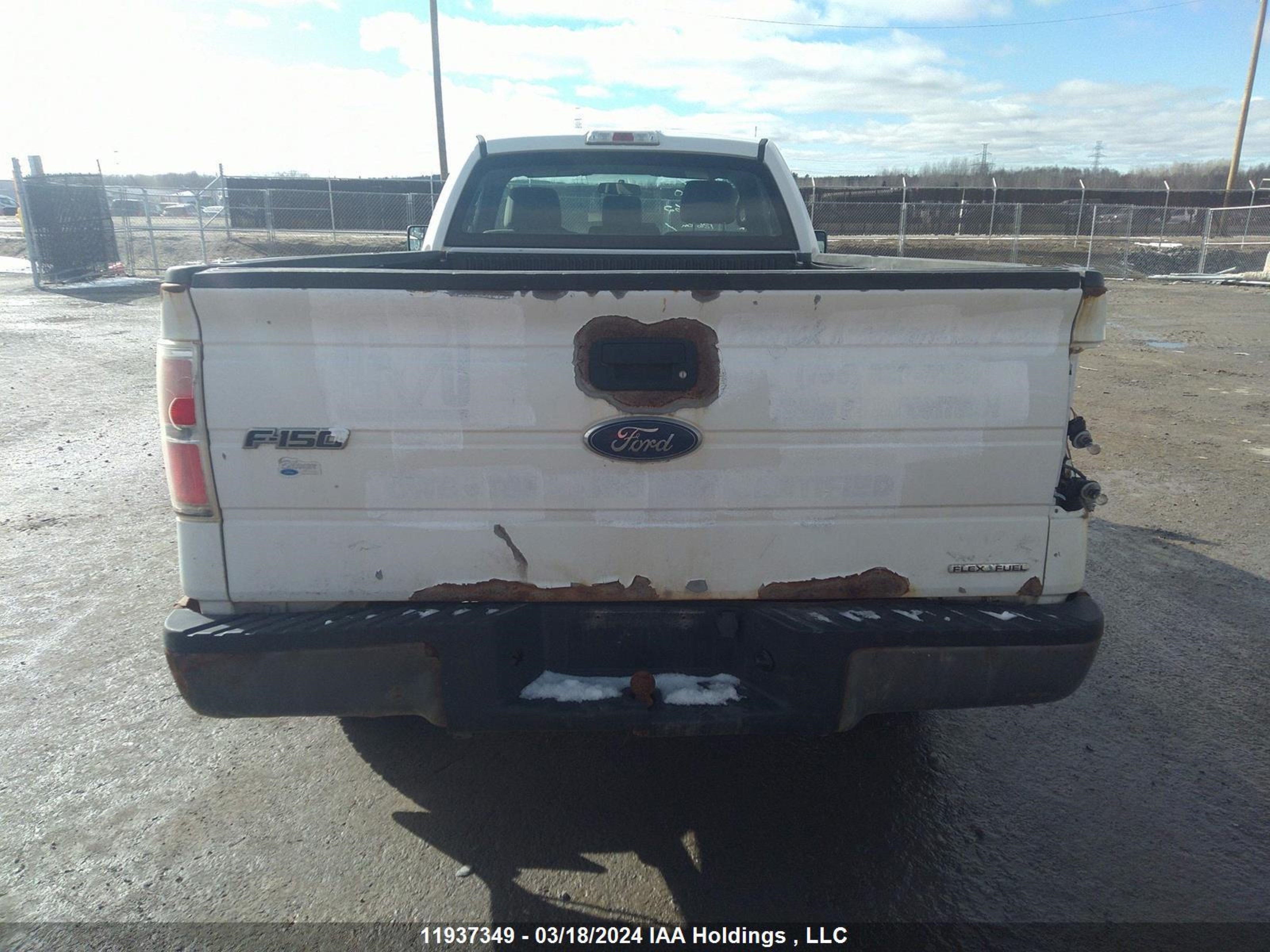 Photo 16 VIN: 1FTMF1CM4DKE41662 - FORD F-150 