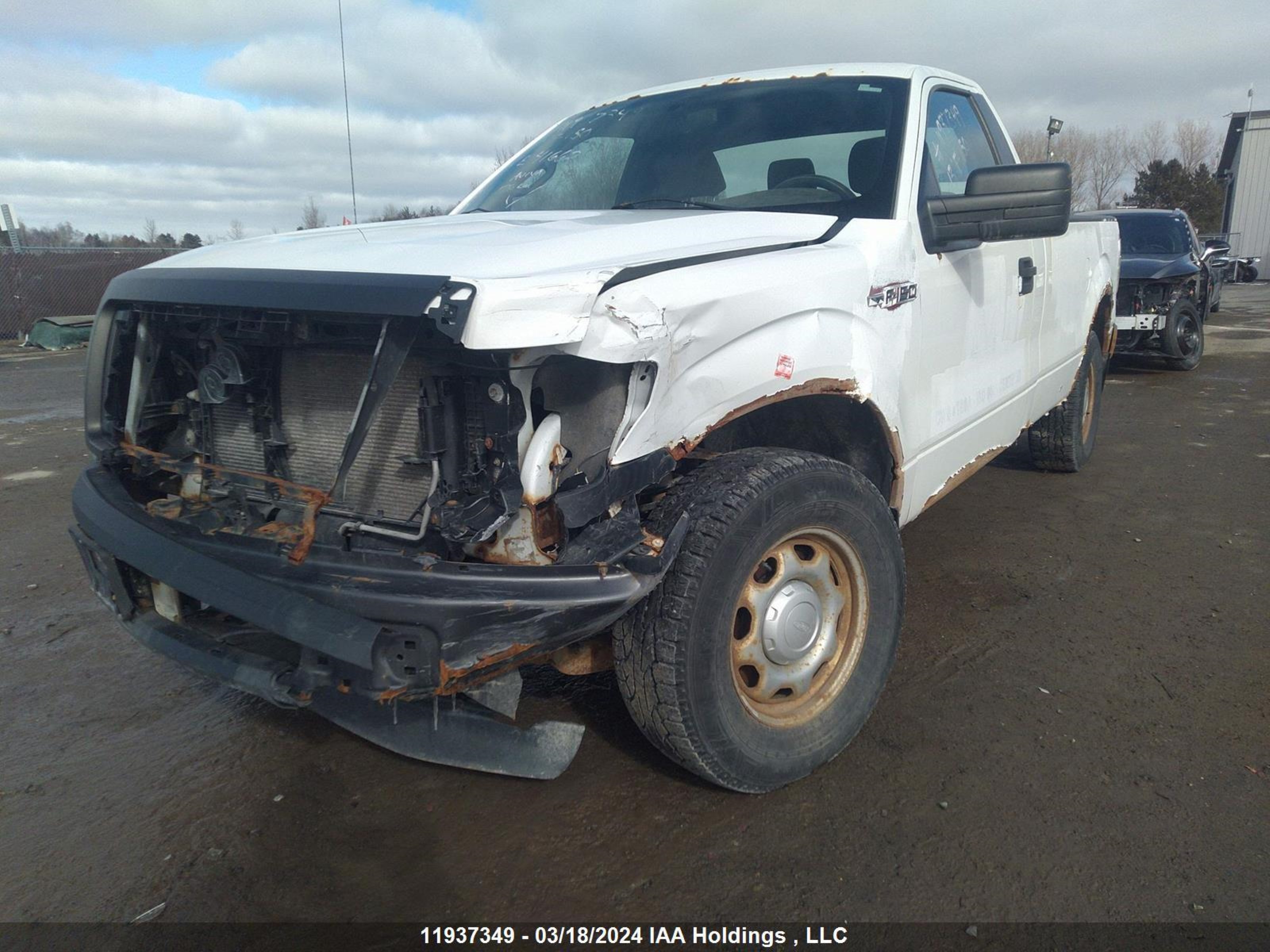 Photo 5 VIN: 1FTMF1CM4DKE41662 - FORD F-150 